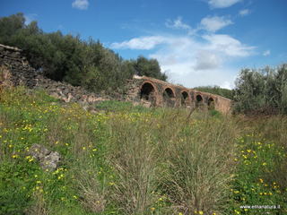 rco Gioeni-08-02-2013 11-12-30